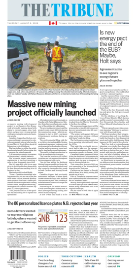 Cover of The Tribune (New Brunswick)