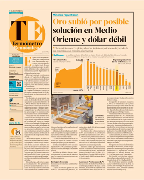 Cover of Termometro Economico