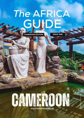 Cover of The Africa Guide
