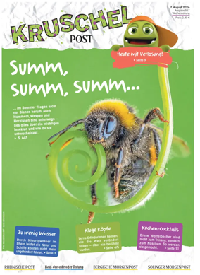 Cover of Kruschelpost