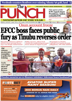 Cover of The Punch