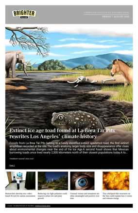 Cover of The Brighter Side of News