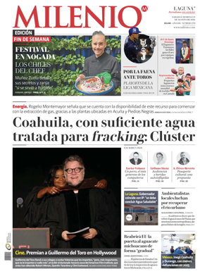 Cover of Milenio Laguna
