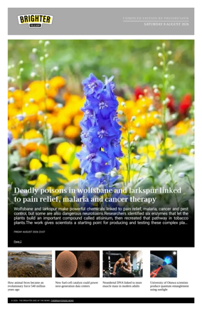 Cover of The Brighter Side of News