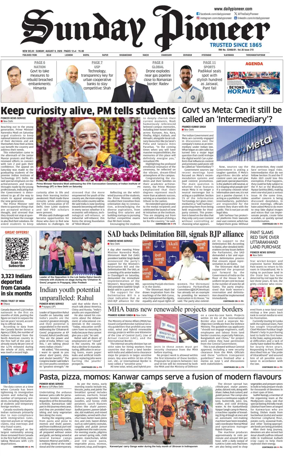 Cover of The Pioneer