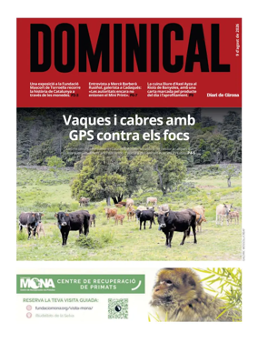 Cover of Dominical