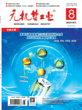 Cover of Inorganic Chemicals Industry