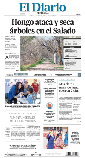 Cover of El Diario de Delicias