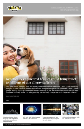 Cover of The Brighter Side of News