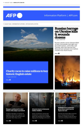 Cover of AFP English