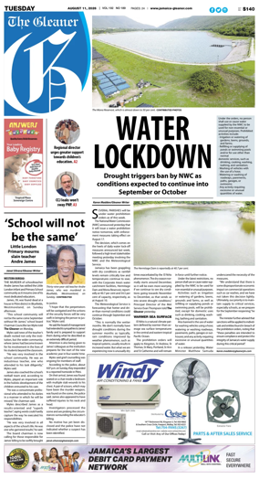Cover of The Gleaner