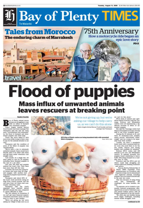 Cover of Bay of Plenty Times