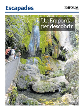 Cover of Suplementos 1