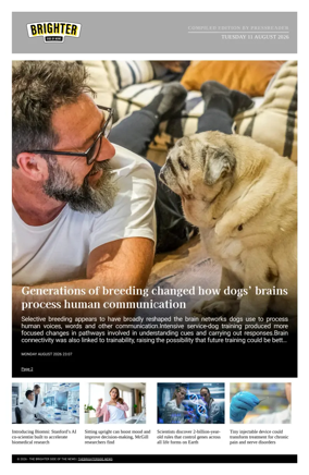 Cover of The Brighter Side of News