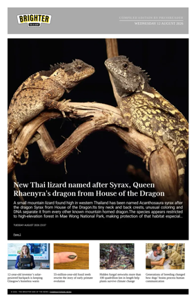 Cover of The Brighter Side of News