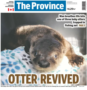 Cover of The Province