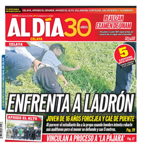 Cover of Periodico Al Dia (Celaya)