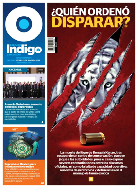 Cover of Reporte Indigo Nacional