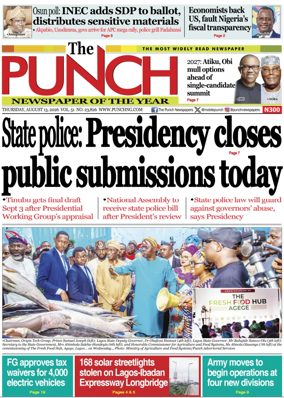 Cover of The Punch