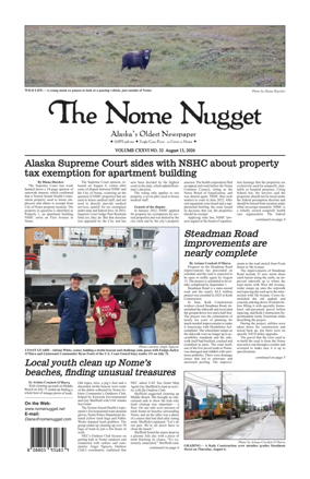 Cover of The Nome Nugget