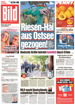 Cover of Bild