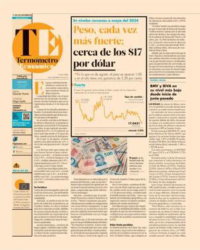 Cover of Termometro Economico