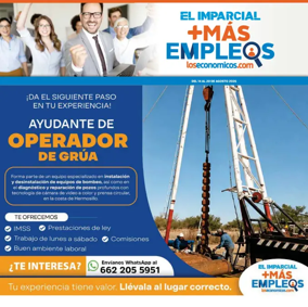 Cover of Mas Empleos