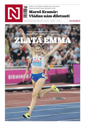 Cover of Dennik N