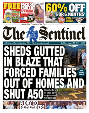 Cover of The Sentinel