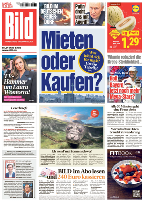 Cover of Bild