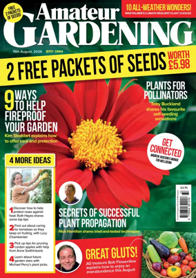 Cover of Amateur Gardening