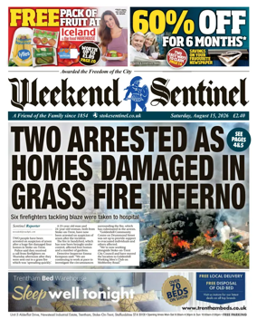 Cover of The Sentinel