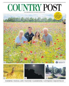 Cover of Country Week