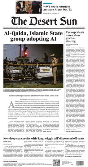 Cover of The Desert Sun