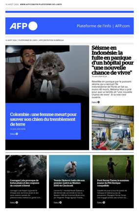 Cover of AFP