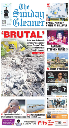 Cover of The Gleaner