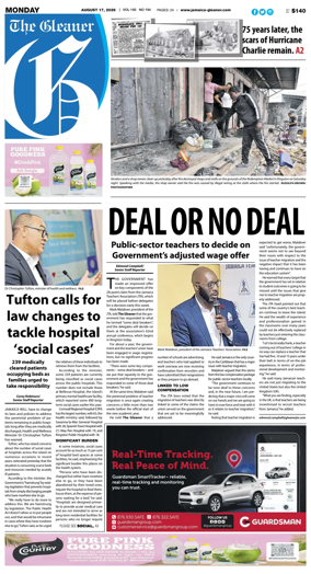 Cover of The Gleaner