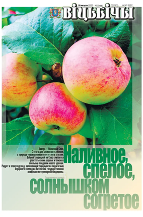 Cover of Vitbichi