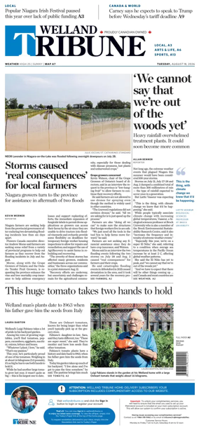 Cover of The Welland Tribune