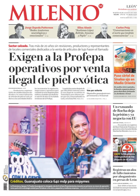 Cover of Milenio Leon
