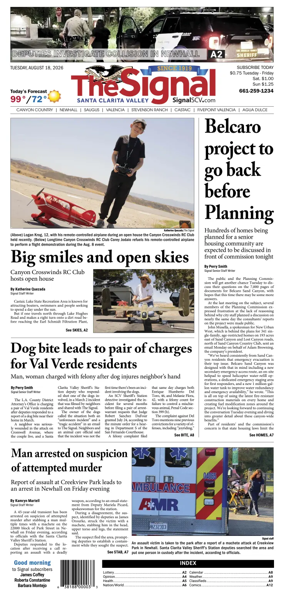 Cover of The Signal