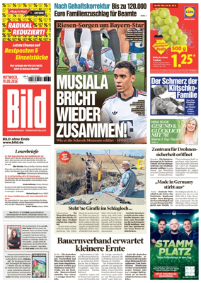 Cover of Bild