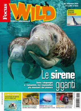 Cover of Focus Wild