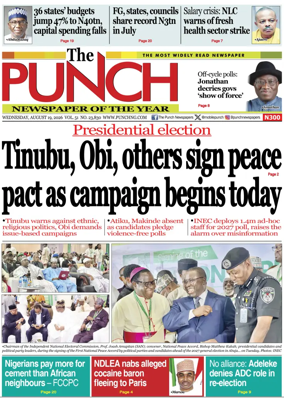 Cover of The Punch