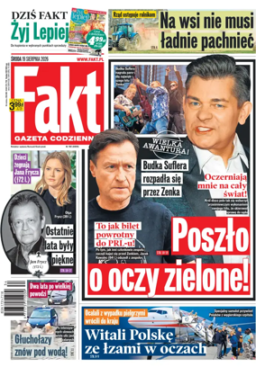 Cover of Fakt