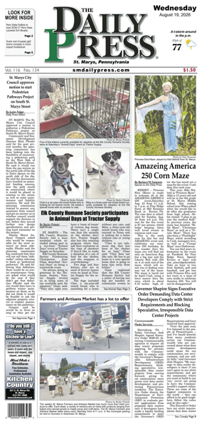 Cover of The Daily Press