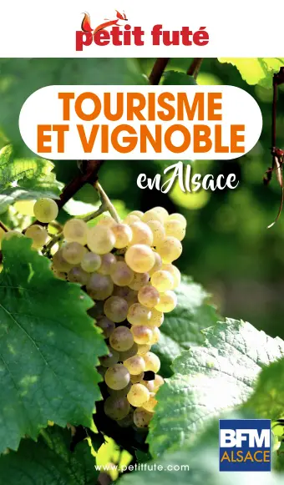 Cover of Petit Fute-Tourisme et Vignoble en Alsace