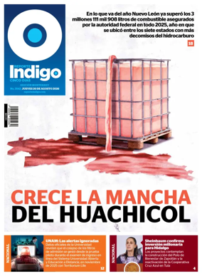 Cover of Reporte Indigo Monterrey