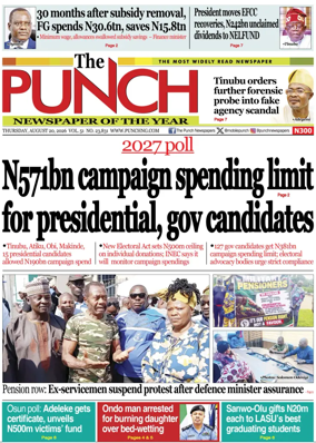 Cover of The Punch