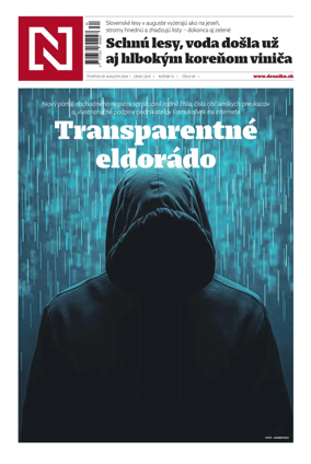 Cover of Dennik N